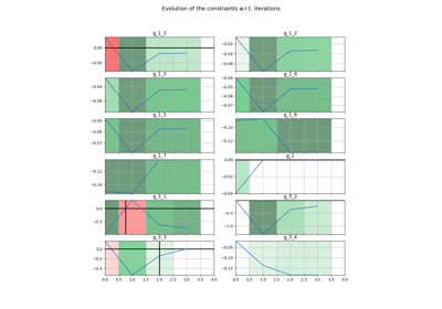 Constraints history