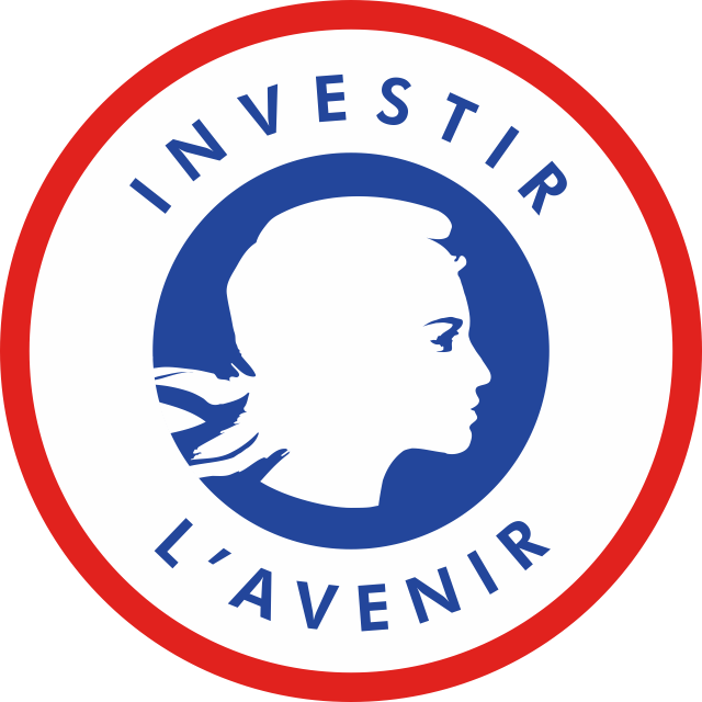 Program of Investments for the Future
